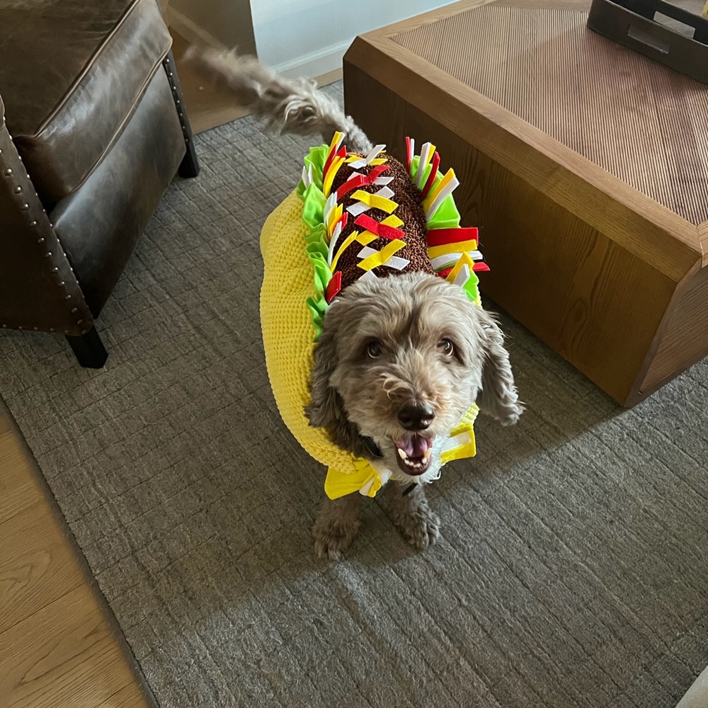 Frisco Taco Dog Costume NWT Size XXL Cinco de Mayo Dog Costume